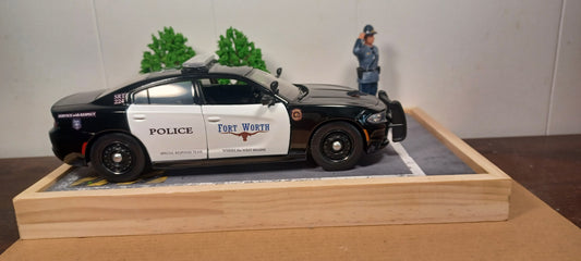 Fort Worth Texas Police